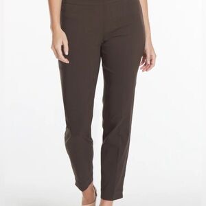 Soft Surroundings Skinny Stretch Pants in Turkish Coffee